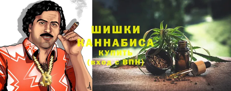 Бошки Шишки SATIVA & INDICA  где найти наркотики  Неман 